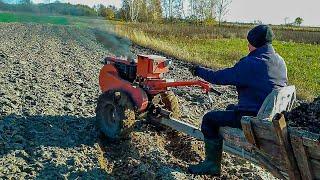 Мотоблок Заря перевозки навоза / застрял / буксует / по бездорожю /На что способен мотоблок