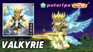 Review "VALKYRIE Armor & DUAL BLADE! Skyblock