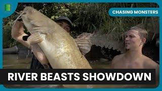 River Beasts Unleashed! - Chasing Monsters - Fishing Show