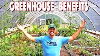 Is A Greenhouse Worth It? Top 8 Benefits To Having One!