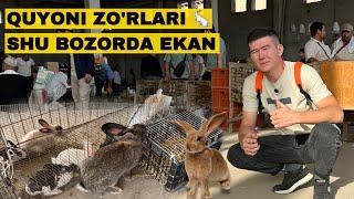 ВОДИЙДАГИ ЭНГ КАТТА КУЁН БОЗОРИ! НАРХЛАР КАНДАЙ БУЛДИ БУ БОЗОРДА?