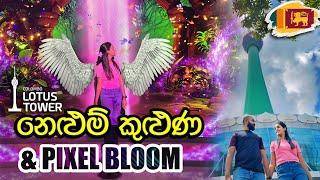 අපේ PIXEL BLOOM EXPERIENCE එක  | South Asia's First Digital Art Gallery | LOTUS TOWER SRI LANKA