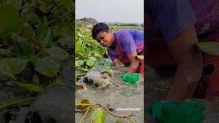 Unique  Fishing Techniques  Rural Fisherman Catch Fish With Bottol & Hook #fish_video #best_fishing