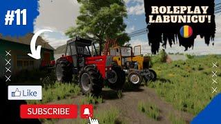 Am testat noua SEMÃNÃTOARE si l-am ajutat pe NEA ION! Fs22 Roleplay LaBunicu'! Ep. 11