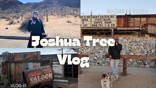 Vlog #1 Un fin en Joshua Tree + celebrando 3 años con mi novio ️