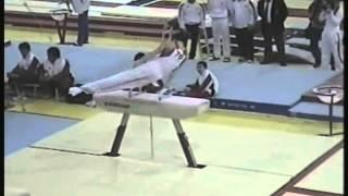 Pommel horse - Dmitriy Gogotov (Voronin Cup 2012)