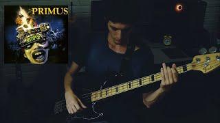 Primus - The Antipop // bass cover