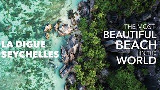 The Most Beautiful Beach in the World: La Digue || Seychelles Travel Vlog