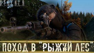 ● ПОХОД В "РЫЖИЙ ЛЕС" ● В поисках артефакта душа! — STALKER RP №465