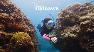 This is WHY you should visit the Hawaii of Japan | Okinawa