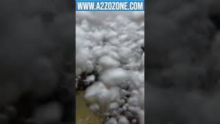 Enhanced Dissolved Oxygen Levels: Aquaponic Ozone Generator Application #ozone #a2zozone #a2z