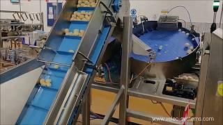 Cellular Counter | Velec Systems 