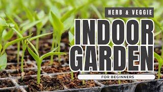 Indoor Gardening Setup for Beginners  | Starting An Indoor Herb & Vegetable Garden