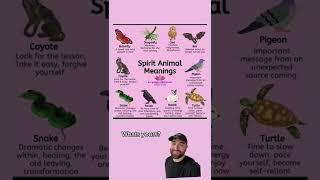 Spirit animal meanings