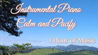 Soothing Music to Calm and Pacify / 1 Hour of Instrumental Piano