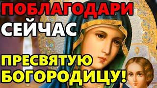 ПОБЛАГОДАРИ ПРЕСВЯТУЮ БОГОРОДИЦУ ПРЯМО СЕЙЧАС! Благодарственная молитва Богородице