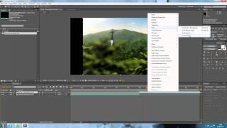 How to do Freeze Frames on After Effects