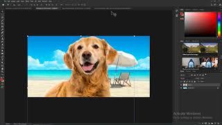 Photoshop. Урок №2/ Как соединить несколько фото в фотошопе?