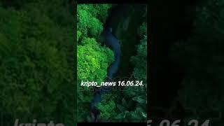 Kripto_news 16.06.24. #kripto_news