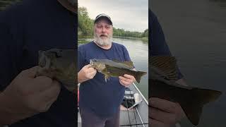 THE MERRIMACK RIVER NEVER STOPS PRODUCING EVEN IN FRANKLIN. #fatalbert #fishing #freshwaterfish