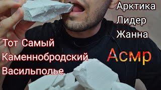 Асмр | Мел Арктика, Лидер, Тот Самый, Каменнобродский, Жанна и Васильполье | Меловой