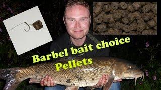 Barbel Bait. Part 1. Pellet