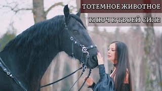 Тотемное животное - ключ к твоей силе