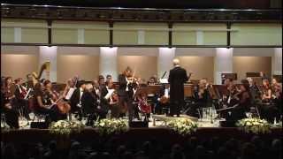Artiom Shishkov & Vladimir Spivakov: Brahms - Violin Concerto in D major, 2nd movement - Adagio