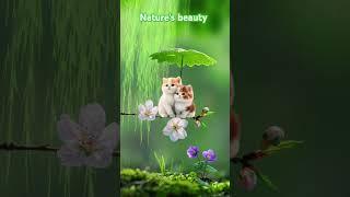 Nature's beauty #nature #love