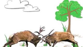 Understanding Evolution - Sexual Selection