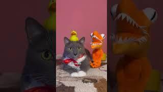 КОТИКИ В ШКОЛЕ - УРОК БИОЛОГИИ