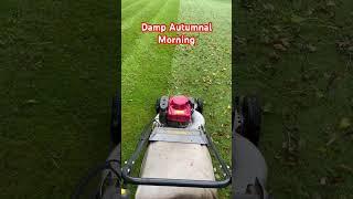 Lawns on a damp autumn morning!
