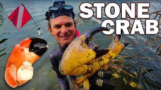 Hand Catching Florida Stone Crab - catch, clean, cook