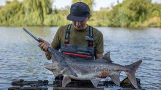 Первый фестиваль «Клуба Карпятников» . Карпфишинг , Carpfishing. Дубовый хуторок