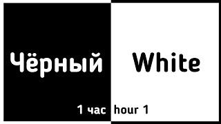 ️Быстрая смена цветов!️1 час/1hour (Чёрный, белый)