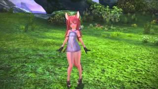 TERA [US,EU] Fate of Arun - Elin Decesensor pack + DOWNLOAD LINK + Steam installation