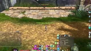 [Aion 4.3] Bard / Songweaver complete preview of all skills