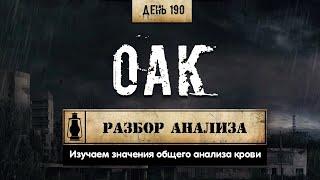 190. Общий анализ крови | Полный разбор (Химический бункер)