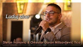 Stefan Ivanović & Orkestar Goran Milisavljević Tica - Luduj sine