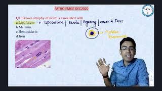 MIST | Pathology Questions of FMGE 4 December by Dr Kunal Garg