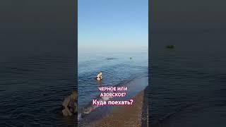 Побережье Черного моря заценили, теперь Азовское! Где круче? #антонобзорюга #азовскоеморе