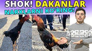 KO'RING! DAKAN XO'ROZ NARXLARI 2023 | ДАКАН ХЎРОЗ НАРХЛАРИ АНДИЖОН ДАКАН БОЗОРИ | ANDIJON