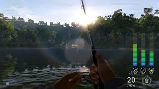 Fishing Planet Река Тибр карп 10+