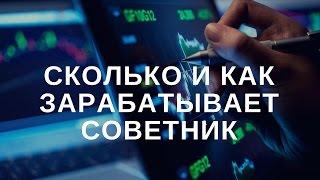 Сколько и как зарабатывает советник?