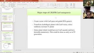 How to select arabidopsis mutants after crispr