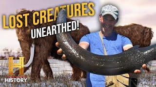 EXTINCT ANIMAL SIGHTINGS Caught on Camera | The Proof Is Out There