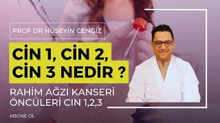 CİN 1, CİN 2, CİN 3 Nedir ?   Rahim ağzı kanseri öncüleri CIN 1,2,3   Prof Dr Hüseyin CENGİZ