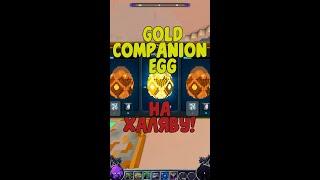 #Shorts TROVE | GOLDEN COMPANION EGG НА ХАЛЯВУ И НЕ ТОЛЬКО | ХАЛЯВА В ТРОВ