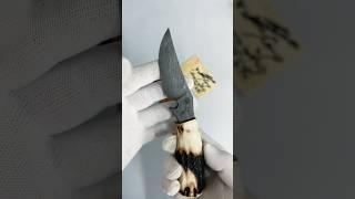 Wtopia June Release｜Damascus × Hokkaido Antler — A Knife Born of Nature  #outdoorgear #edc