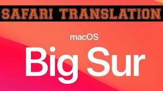 Safari Translation Doesn't Show Up - How To Fix It In macOS 11 Big Sur